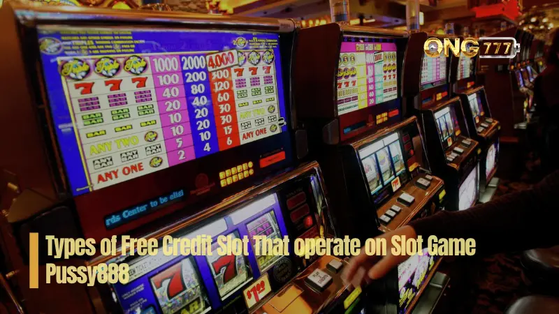 Type Free Credit Can Use On Slot Game Pussy888